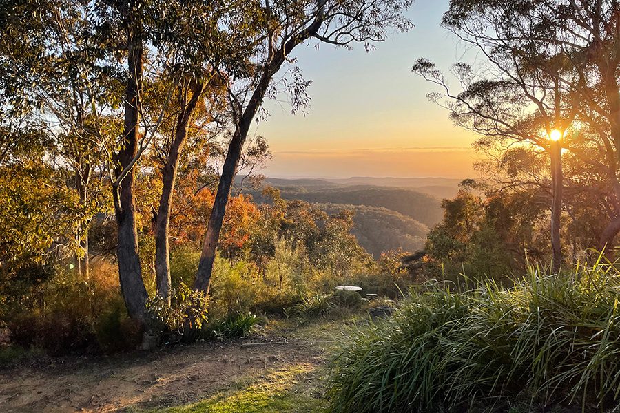A dirt trail framed by trees and bushes leads to an unobstructed view of a beautiful sunset.